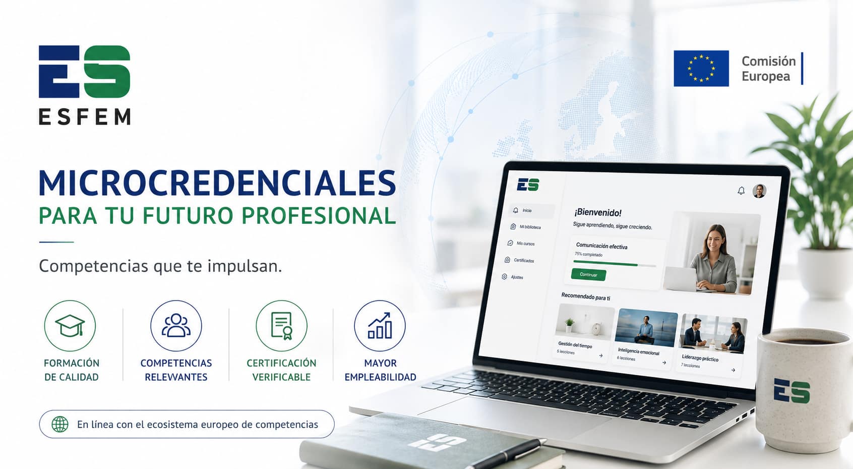 microesfem